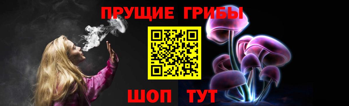 Галлюциногенные грибы прущие грибы  Вход с VPN  Курчалой 