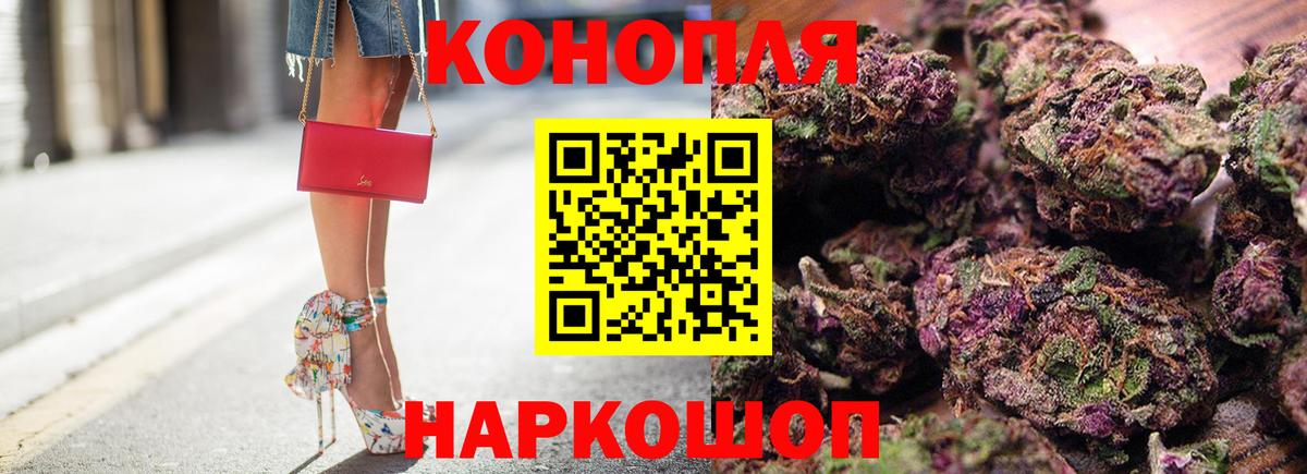 Каннабис индика Курчалой